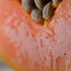 papaya papya